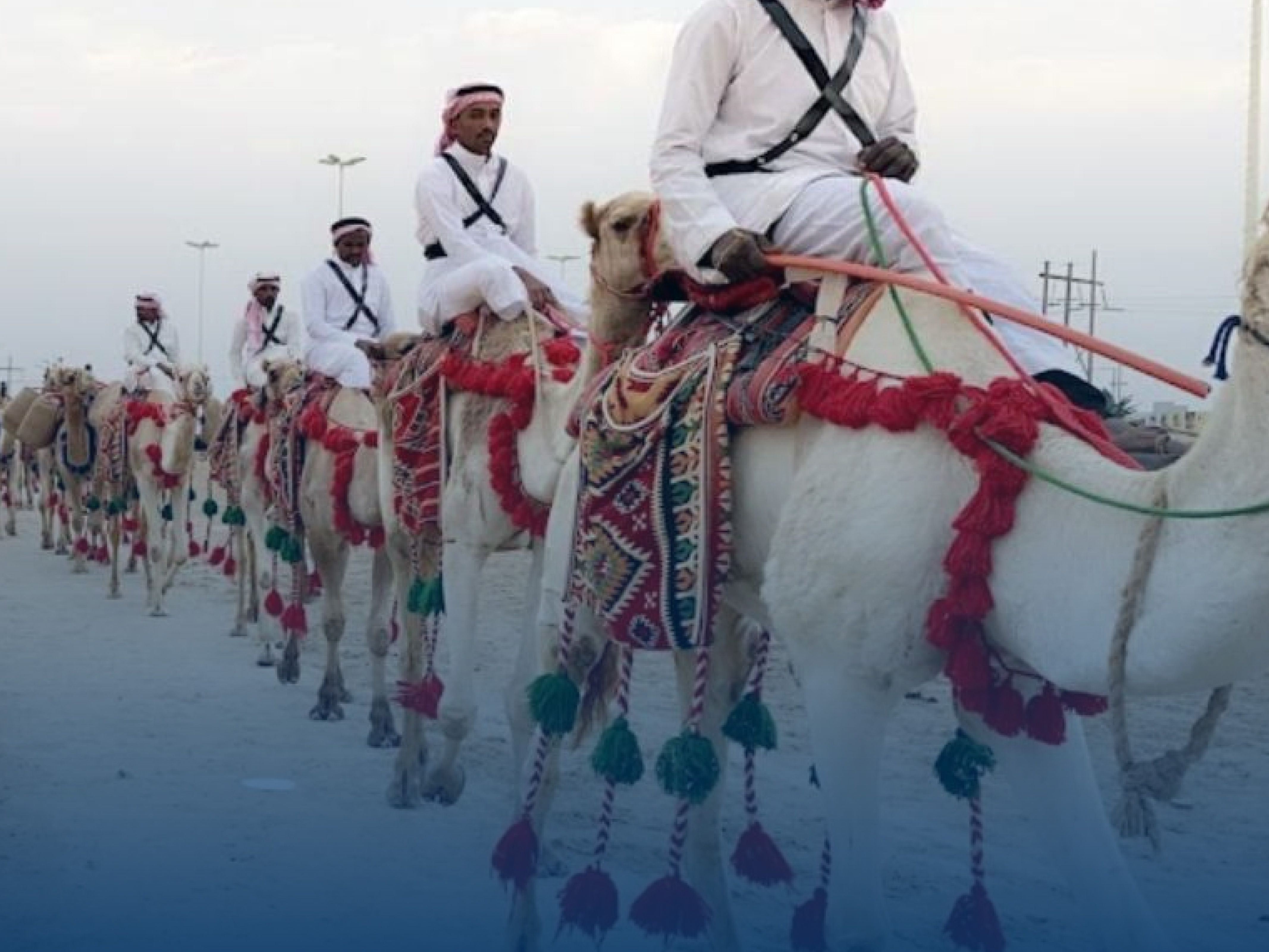 ربيع النعيرية 2026